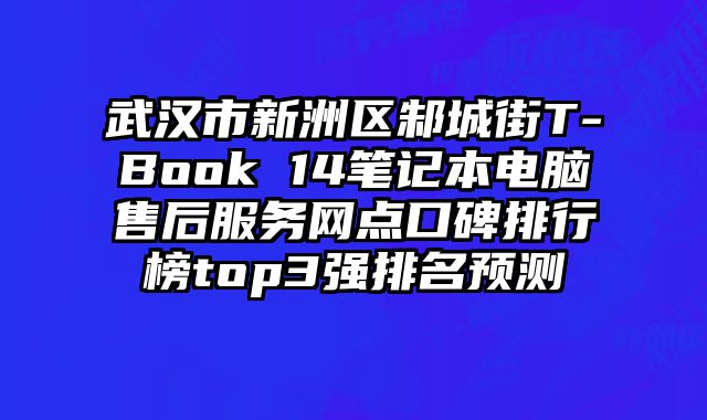 武漢市新洲區邾城街T-Book 14筆記本電腦售后服務網點口碑排行榜top3強排名預測