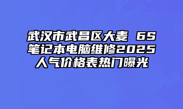武漢市武昌區大麥 6S筆記本電腦維修2025人氣價格表熱門曝光