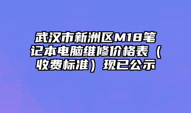 武漢市新洲區M18筆記本電腦維修價格表（收費標準）現已公示