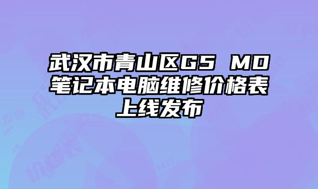武漢市青山區G5 MD筆記本電腦維修價格表上線發布