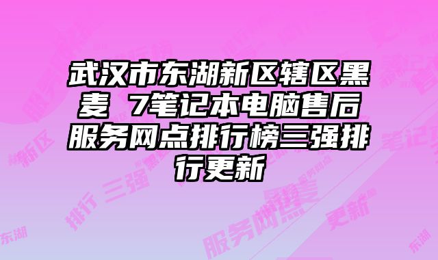 武漢市東湖新區(qū)轄區(qū)黑麥 7筆記本電腦售后服務(wù)網(wǎng)點(diǎn)排行榜三強(qiáng)排行更新
