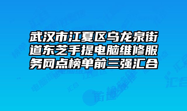 武漢市江夏區烏龍泉街道東芝手提電腦維修服務網點榜單前三強匯合