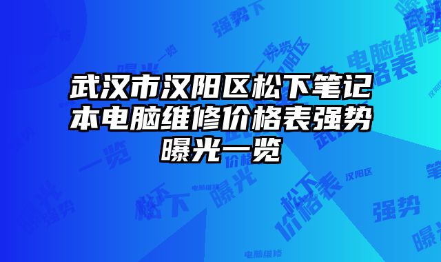 武漢市漢陽區松下筆記本電腦維修價格表強勢曝光一覽