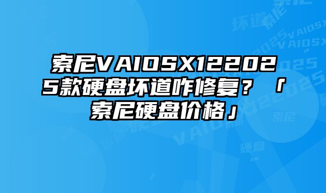 索尼VAIOSX122025款硬盤壞道咋修復？「索尼硬盤價格」
