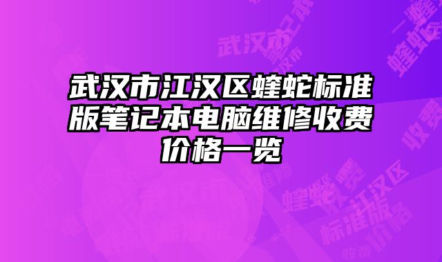 武漢市江漢區蝰蛇標準版筆記本電腦維修收費價格一覽