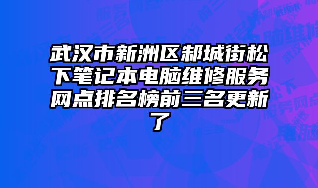 武漢市新洲區邾城街松下筆記本電腦維修服務網點排名榜前三名更新了