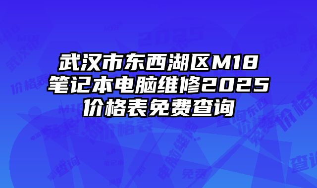 武漢市東西湖區M18筆記本電腦維修2025價格表免費查詢