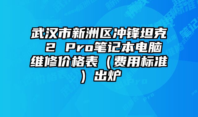 武漢市新洲區(qū)沖鋒坦克 2 Pro筆記本電腦維修價格表（費用標(biāo)準(zhǔn)）出爐