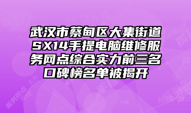武漢市蔡甸區大集街道SX14手提電腦維修服務網點綜合實力前三名口碑榜名單被揭開