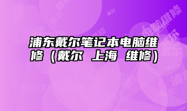 浦東戴爾筆記本電腦維修（戴爾 上海 維修）