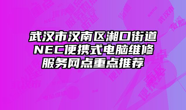武漢市漢南區湘口街道NEC便攜式電腦維修服務網點重點推薦