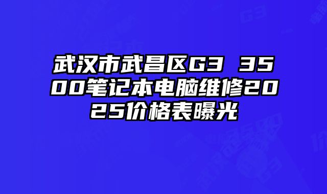武漢市武昌區G3 3500筆記本電腦維修2025價格表曝光