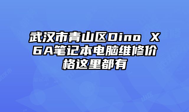 武漢市青山區Dino X6A筆記本電腦維修價格這里都有