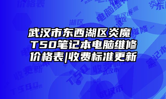 武漢市東西湖區炎魔 T50筆記本電腦維修價格表|收費標準更新