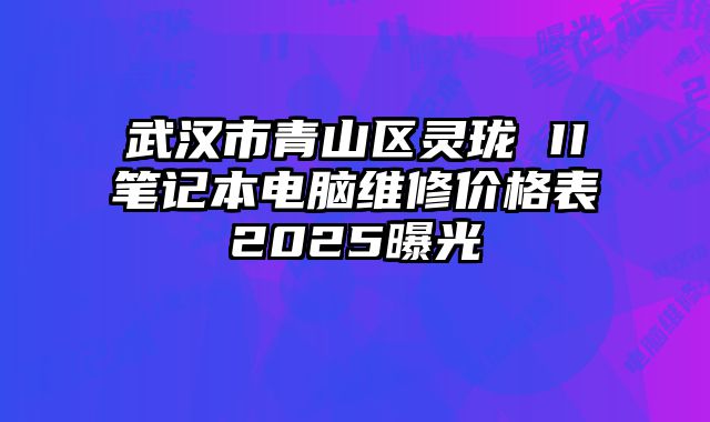 武漢市青山區靈瓏 II筆記本電腦維修價格表2025曝光