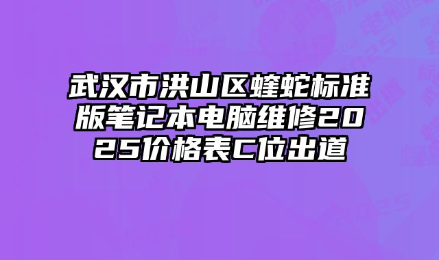 武漢市洪山區蝰蛇標準版筆記本電腦維修2025價格表C位出道