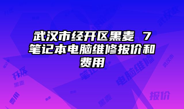 武漢市經開區黑麥 7筆記本電腦維修報價和費用