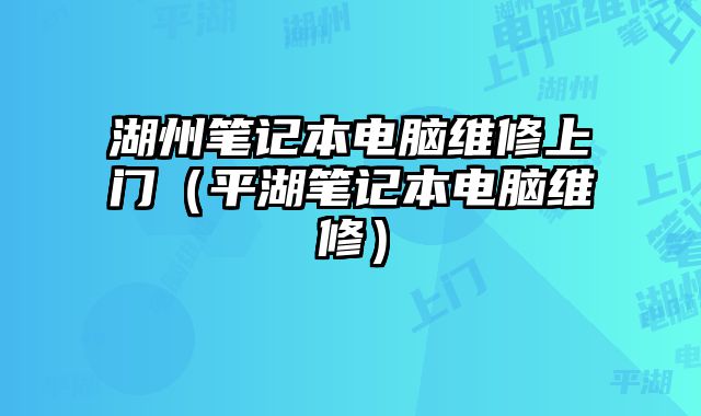 湖州筆記本電腦維修上門（平湖筆記本電腦維修）