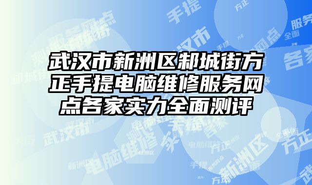 武漢市新洲區(qū)邾城街方正手提電腦維修服務網(wǎng)點各家實力全面測評