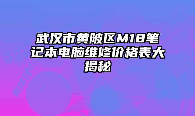 武漢市黃陂區M18筆記本電腦維修價格表大揭秘