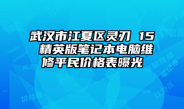 武漢市江夏區(qū)靈刃 15 精英版筆記本電腦維修平民價格表曝光