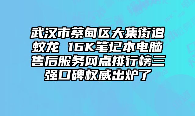 武漢市蔡甸區(qū)大集街道蛟龍 16K筆記本電腦售后服務(wù)網(wǎng)點(diǎn)排行榜三強(qiáng)口碑權(quán)威出爐了