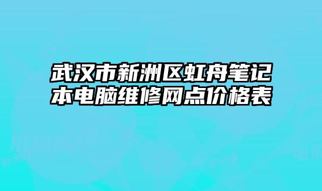 武漢市新洲區虹舟筆記本電腦維修網點價格表