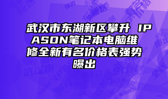 武漢市東湖新區攀升 IPASON筆記本電腦維修全新有名價格表強勢曝出