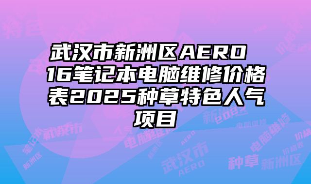 武漢市新洲區AERO 16筆記本電腦維修價格表2025種草特色人氣項目
