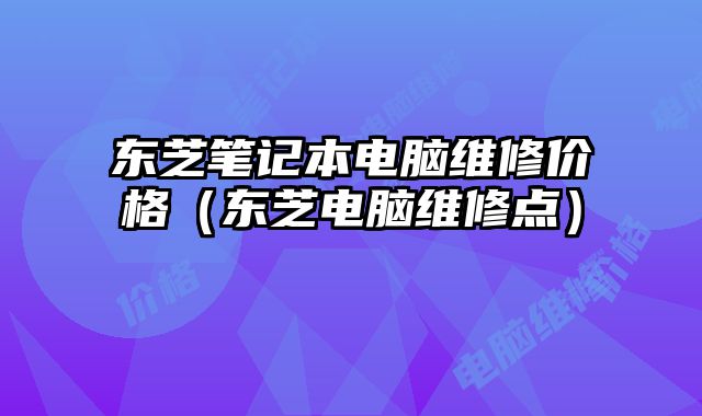 東芝筆記本電腦維修價格（東芝電腦維修點）