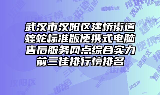 武漢市漢陽區(qū)建橋街道蝰蛇標(biāo)準(zhǔn)版便攜式電腦售后服務(wù)網(wǎng)點(diǎn)綜合實(shí)力前三佳排行榜排名