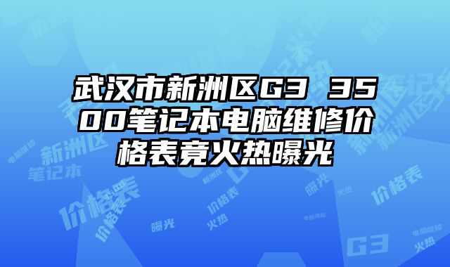 武漢市新洲區G3 3500筆記本電腦維修價格表竟火熱曝光