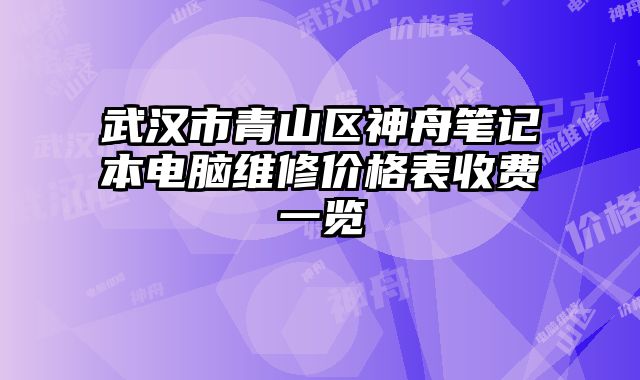 武漢市青山區神舟筆記本電腦維修價格表收費一覽