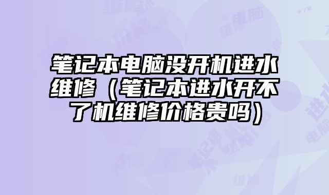 筆記本電腦沒開機進水維修（筆記本進水開不了機維修價格貴嗎）