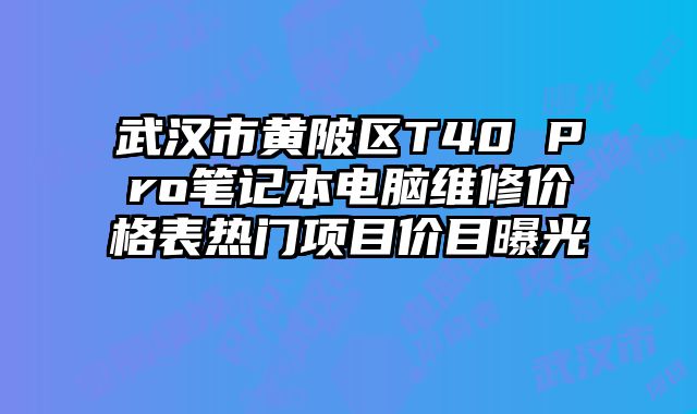武漢市黃陂區T40 Pro筆記本電腦維修價格表熱門項目價目曝光
