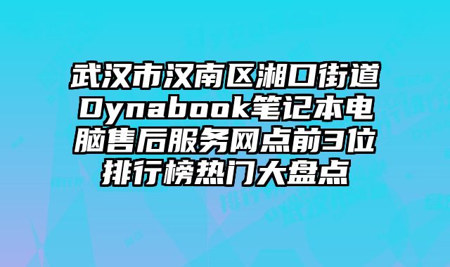 武漢市漢南區湘口街道Dynabook筆記本電腦售后服務網點前3位排行榜熱門大盤點