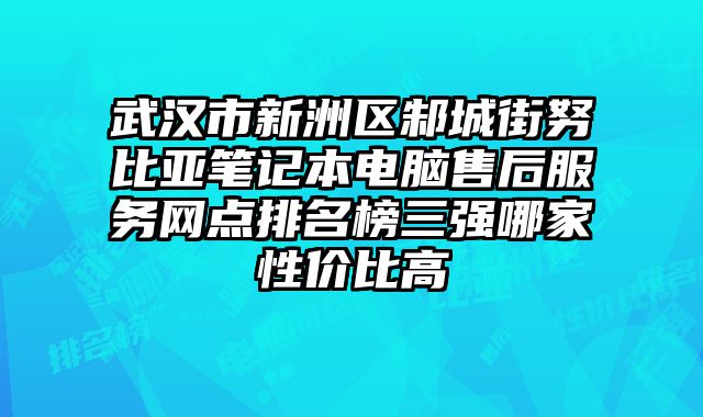 武漢市新洲區邾城街努比亞筆記本電腦售后服務網點排名榜三強哪家性價比高
