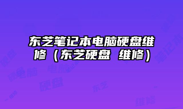 東芝筆記本電腦硬盤維修（東芝硬盤 維修）