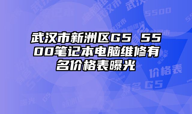 武漢市新洲區G5 5500筆記本電腦維修有名價格表曝光