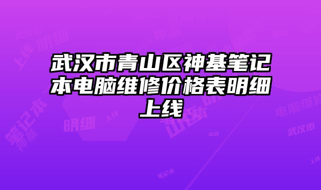 武漢市青山區神基筆記本電腦維修價格表明細上線