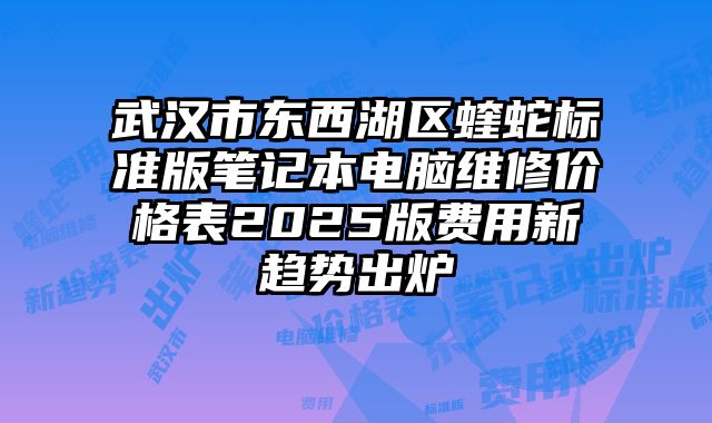 武漢市東西湖區蝰蛇標準版筆記本電腦維修價格表2025版費用新趨勢出爐