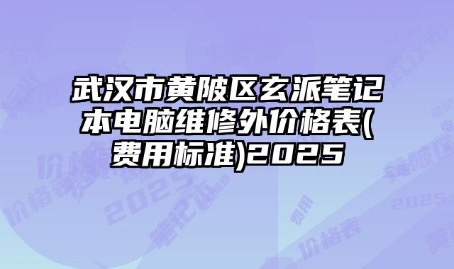 武漢市黃陂區玄派筆記本電腦維修外價格表(費用標準)2025