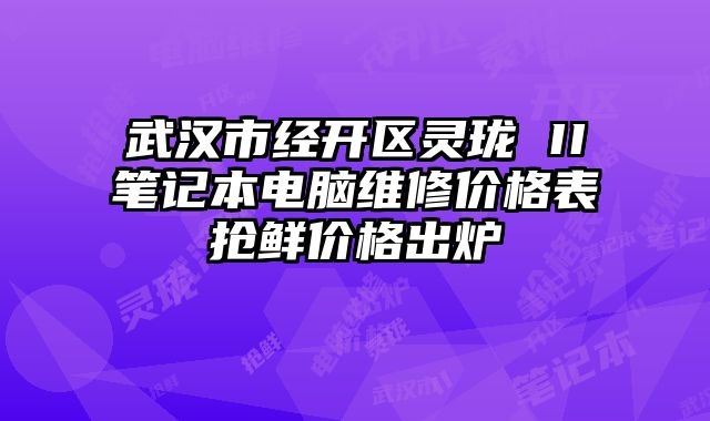 武漢市經開區靈瓏 II筆記本電腦維修價格表搶鮮價格出爐