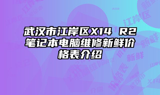 武漢市江岸區X14 R2筆記本電腦維修新鮮價格表介紹