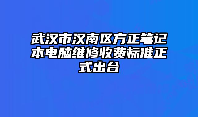 武漢市漢南區方正筆記本電腦維修收費標準正式出臺
