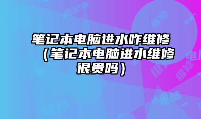 筆記本電腦進水咋維修（筆記本電腦進水維修很貴嗎）