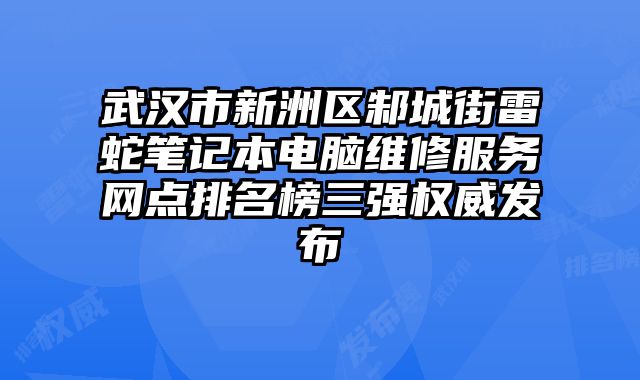 武漢市新洲區(qū)邾城街雷蛇筆記本電腦維修服務網(wǎng)點排名榜三強權威發(fā)布
