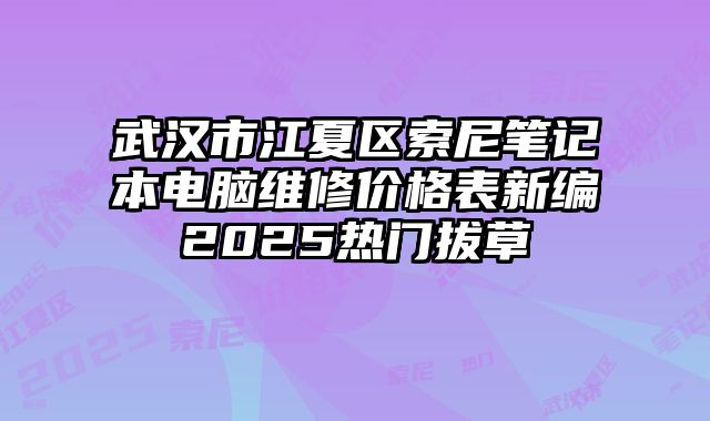 武漢市江夏區索尼筆記本電腦維修價格表新編2025熱門拔草