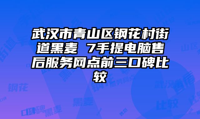 武漢市青山區鋼花村街道黑麥 7手提電腦售后服務網點前三口碑比較