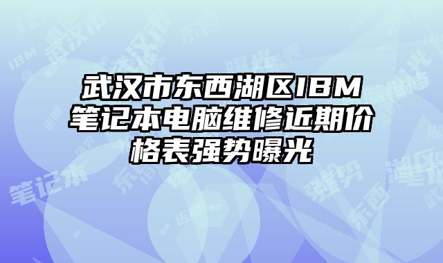 武漢市東西湖區IBM筆記本電腦維修近期價格表強勢曝光